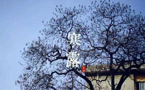 1602150645535904.png 微信圖片_20201008174912.png