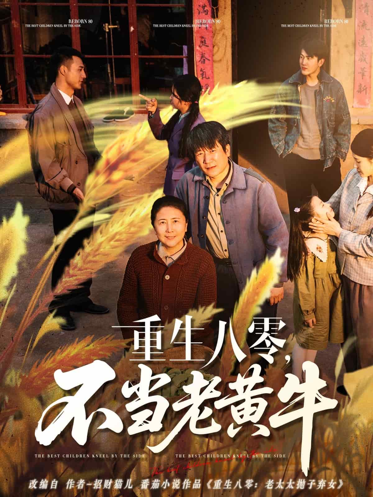 重生八零，不當老黃牛(全集)