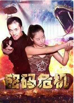 密碼危機(全集)